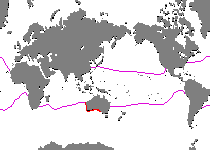 Range - Verbreitung Allenichthys glauerti (Glauert's Frogfish - Glauert Anglerfisch)