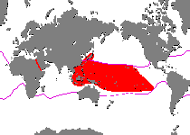 Range - Verbreitung Antennarius randalli (Randall's frogfish - Randall's Anglerfisch)