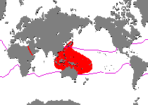 Range - Verbreitung Antennatus 
                      rosaceus - Antennarius 
                      rosaceus (Rosy frogfish, Spiny-tufted Frogfish - Rosa Anglerfisch)