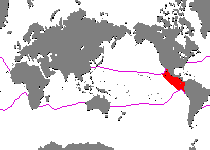 Range - Verbreitung Antennatus strigatus (Bandtail frogfish - Gebänderter Schwanz Anglerfisch)