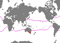 Range - Verbreitung Rhycherus filamentosus (Tasseled Frogfish - Quasten-Anglerfisch)