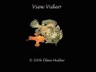 Link to frogfish video - Link zu Anglerfisch-Video